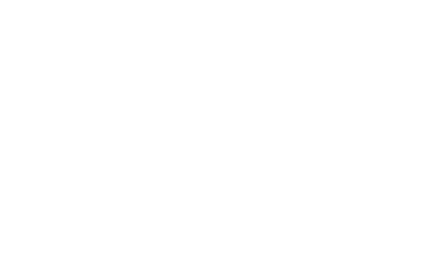 Wiener Solutions Logo